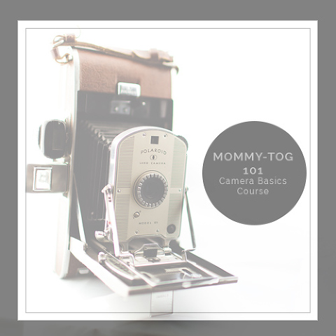 Camera Course